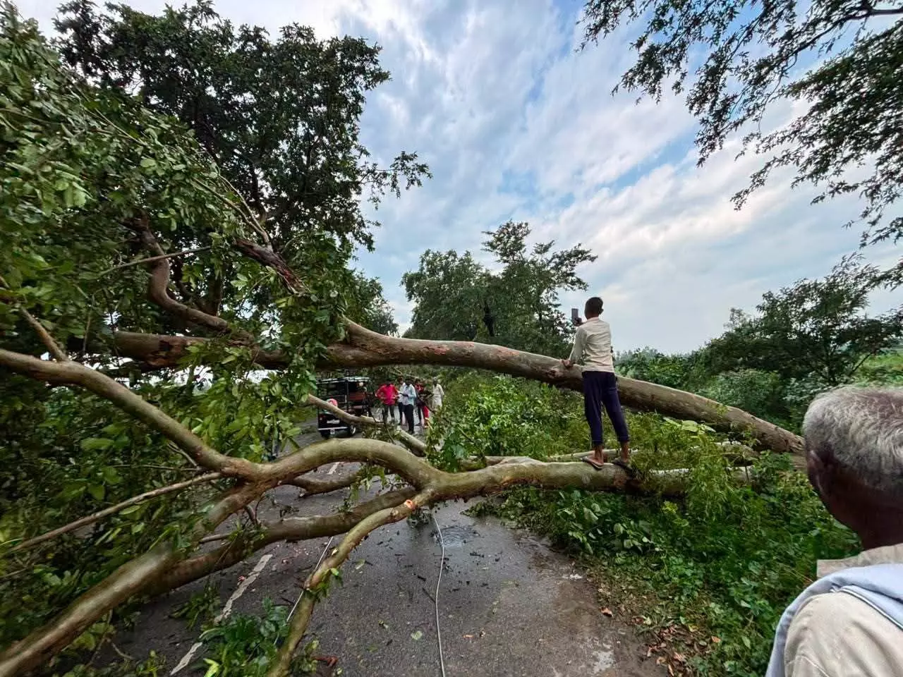 आंधी-बारिश ने बिगाड़ी बिजली व्यवस्था, 100 पोल गिरे और 15 ट्रांसफार्मर फुंके आंधी-बारिश ने बिगाड़ी बिजली व्यवस्था, 100 पोल गिरे और 15 ट्रांसफार्मर फुंके