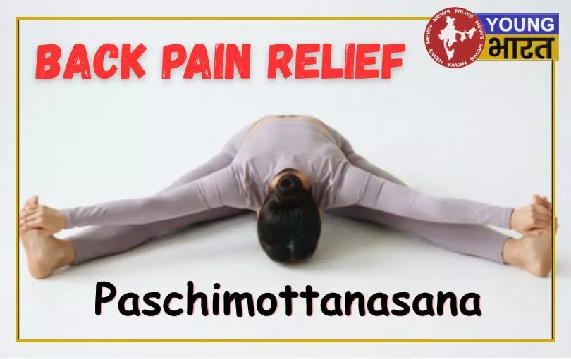 सारा दिन बैठे-बैठे अकड़ जाती है पीठ? पाद-प्रसार पश्चिमोत्तानासन से मिलेगा आराम सारा दिन बैठे-बैठे अकड़ जाती है पीठ? पाद-प्रसार पश्चिमोत्तानासन से मिलेगा आराम