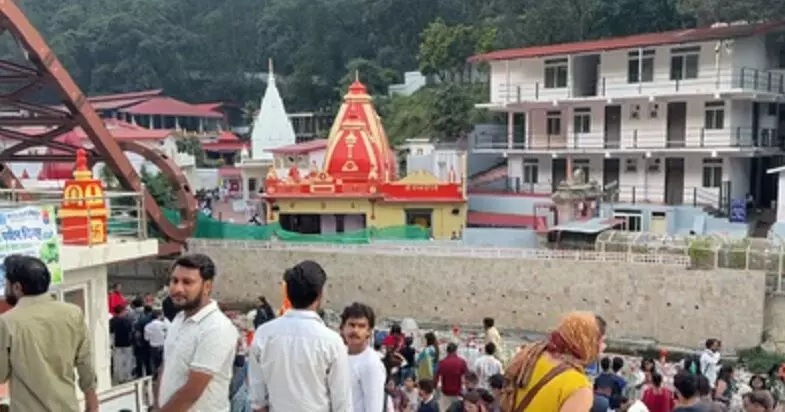 उत्तराखंड: कैंचीधाम क्षेत्र से लगभग गायब हुई गौरैया, पक्षियों के पलायन से बढ़ी चिंता उत्तराखंड: कैंचीधाम क्षेत्र से लगभग गायब हुई गौरैया, पक्षियों के पलायन से बढ़ी चिंता