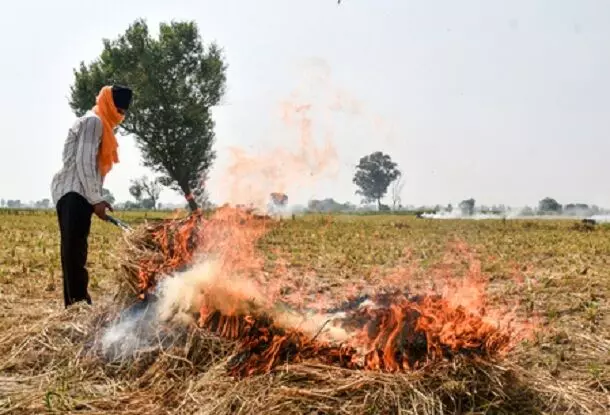 पंजाब में पराली जलाने के 404 मामले दर्ज, अमृतसर और तरनतारन में सबसे अधिक घटनाएं पंजाब में पराली जलाने के 404 मामले दर्ज, अमृतसर और तरनतारन में सबसे अधिक घटनाएं